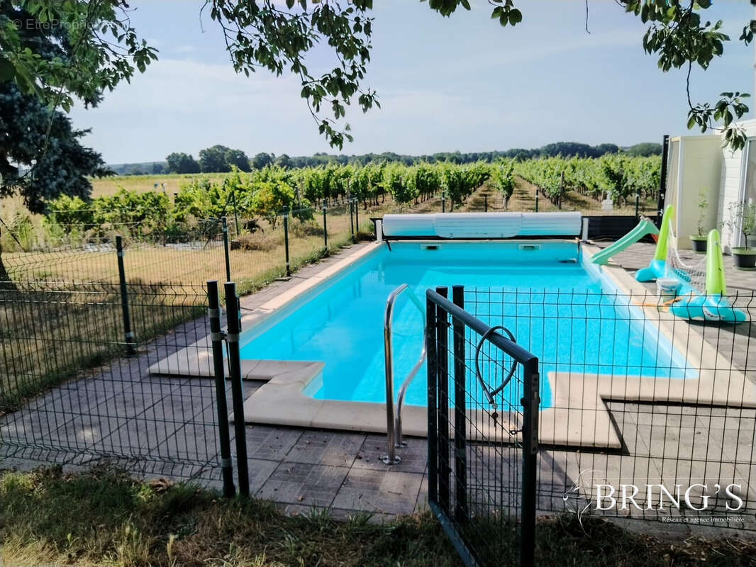 Piscine avec vue sur les vignobles. - Maison à SAINT-MICHEL-SUR-LOIRE