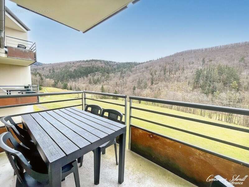 Appartement à AMMERSCHWIHR