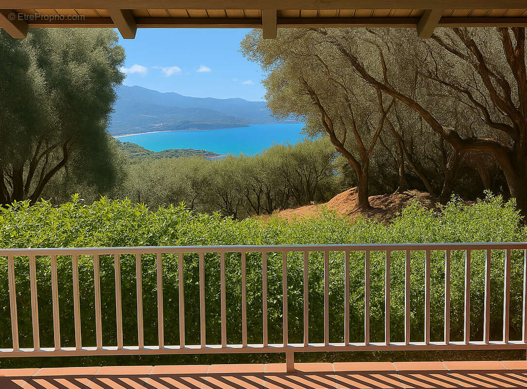 Propriété Exceptionnelle en Corse au bord du Golfe du Valinco - photo 12