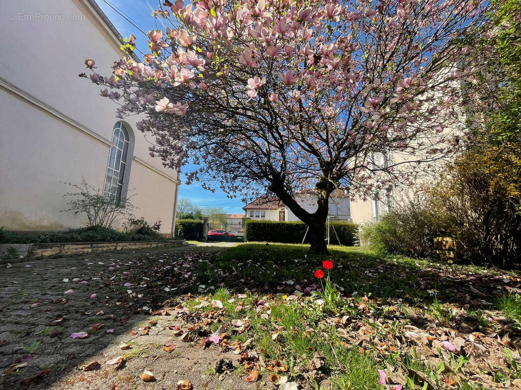 Maison à REMIREMONT