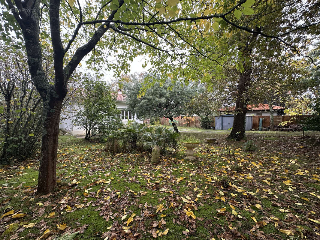 Maison à LA TESTE-DE-BUCH