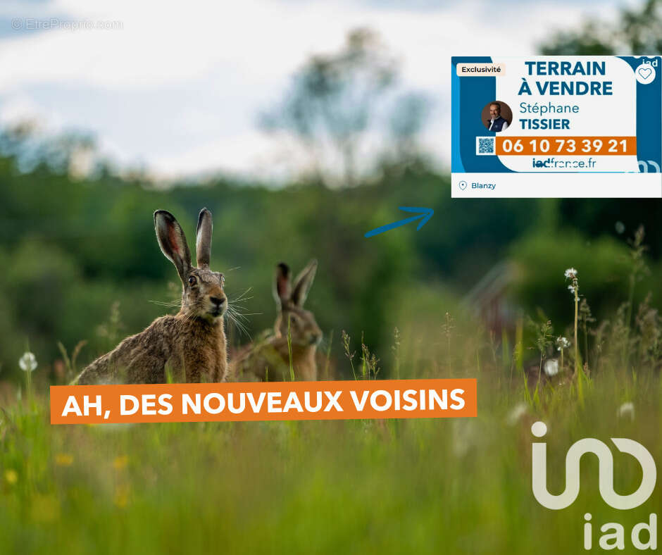 Photo 3 - Terrain à BLANZY