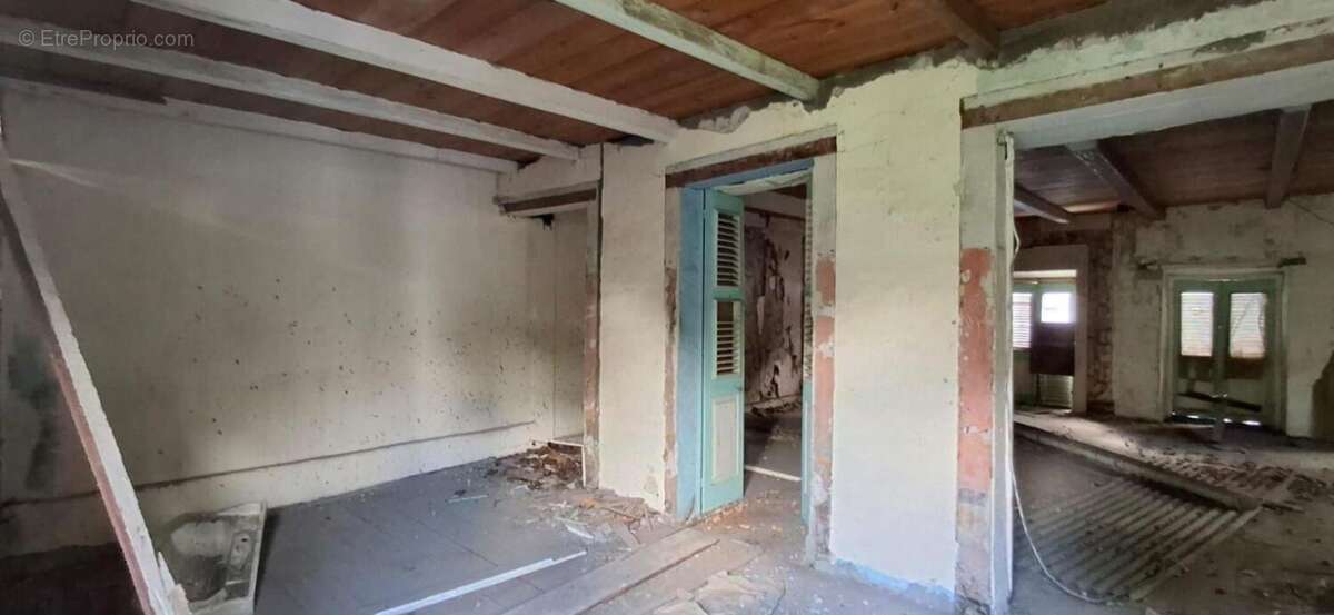 Commerce à BASSE-TERRE