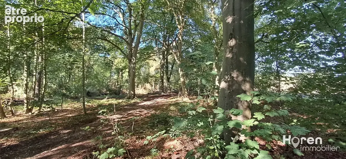 Exclusivite - bois à proximité de villers-sous-ailly - photo 3
