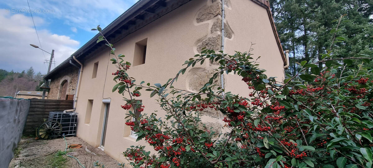 Maison à SAINT-NIZIER-DE-FORNAS