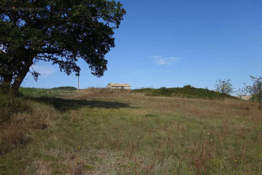Maison à VABRES-L'ABBAYE