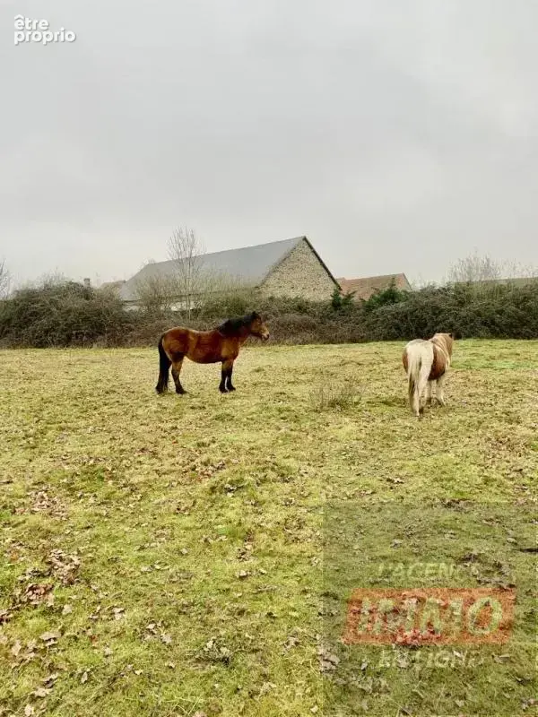 Corps de ferme - photo 4