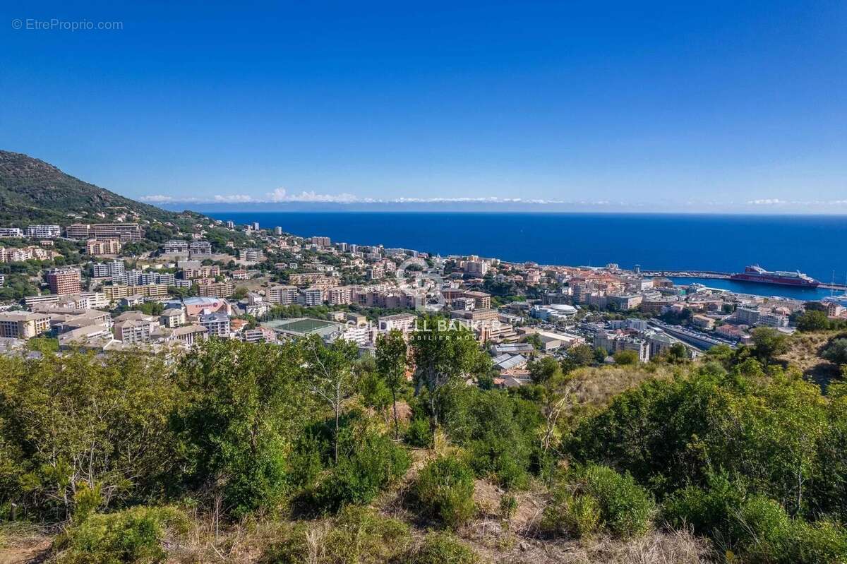Terrain à SAN-MARTINO-DI-LOTA