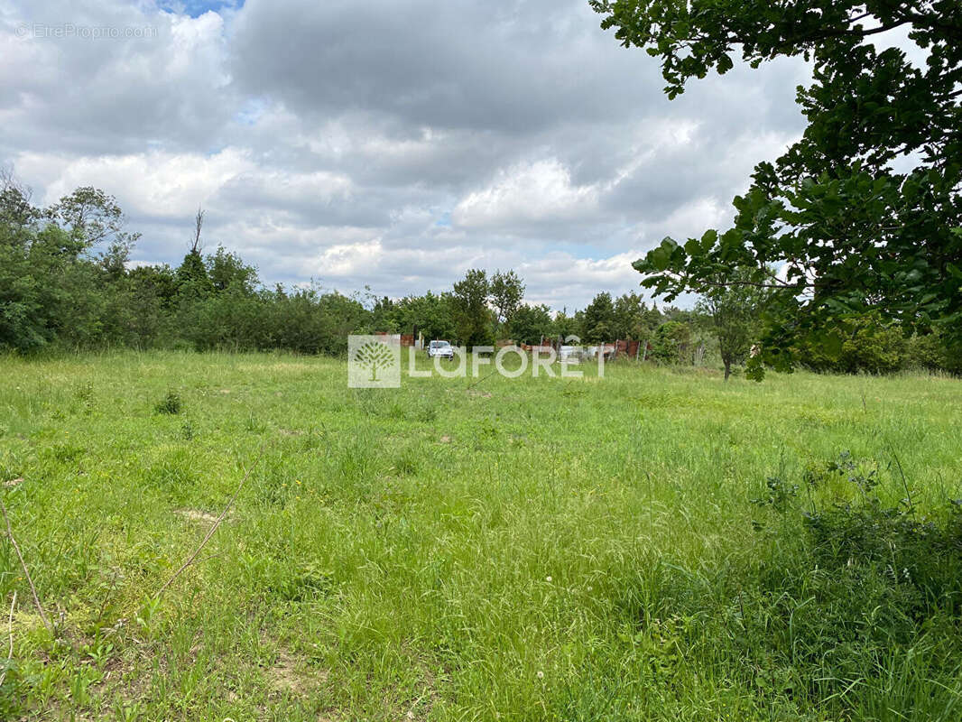 Terrain à LE SOLER