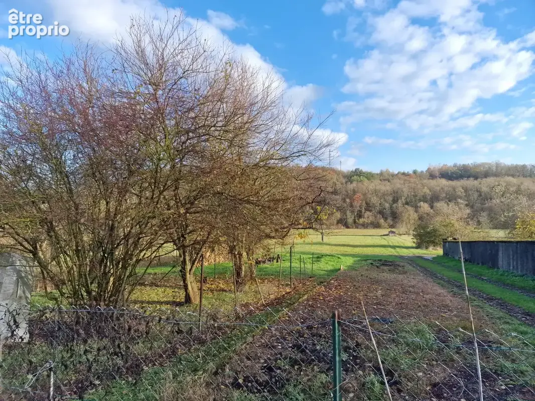 Dpt Vosges (88), à vendre secteur MIRECOURT Jolie MAISON T4 Plain-pied avec GARAGE / TERRAIN de 1150 m2 - photo 4