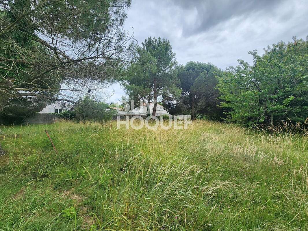 Terrain à DOLUS-D'OLERON
