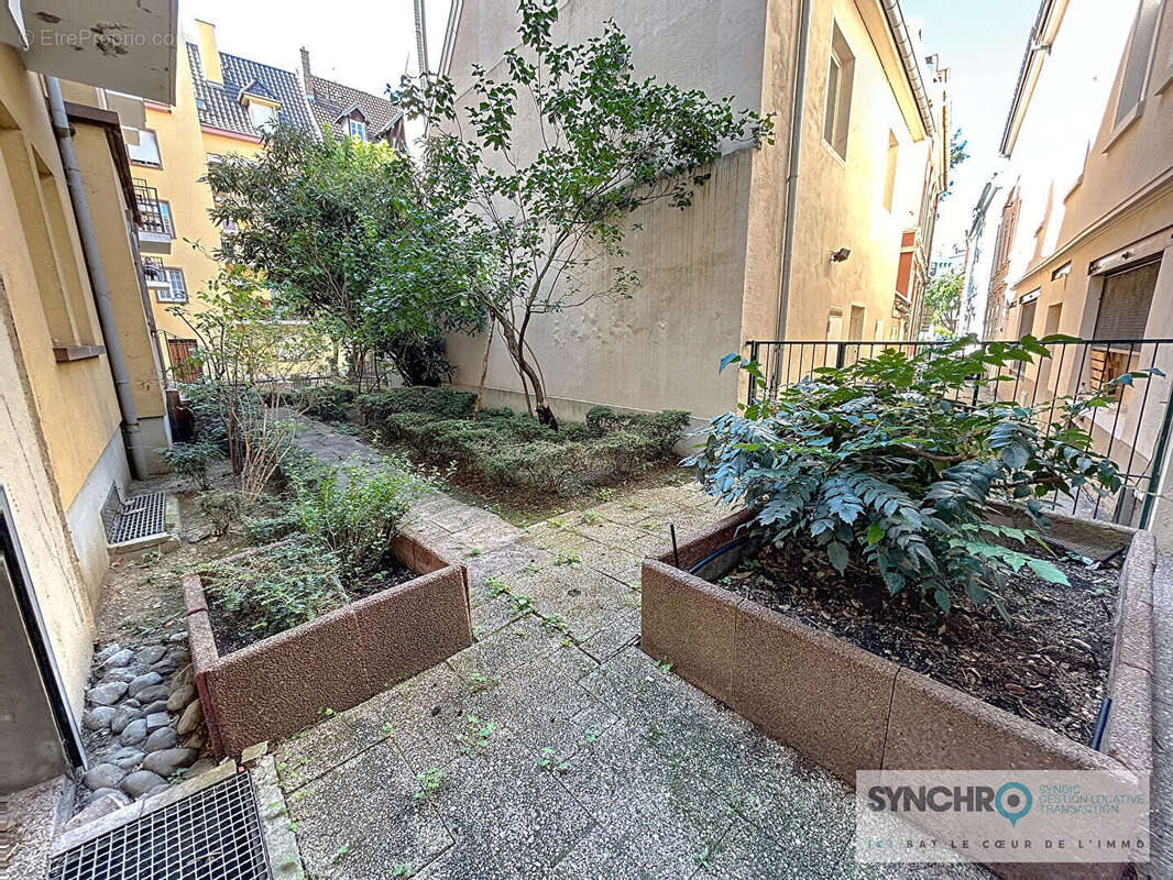 Commerce à MULHOUSE