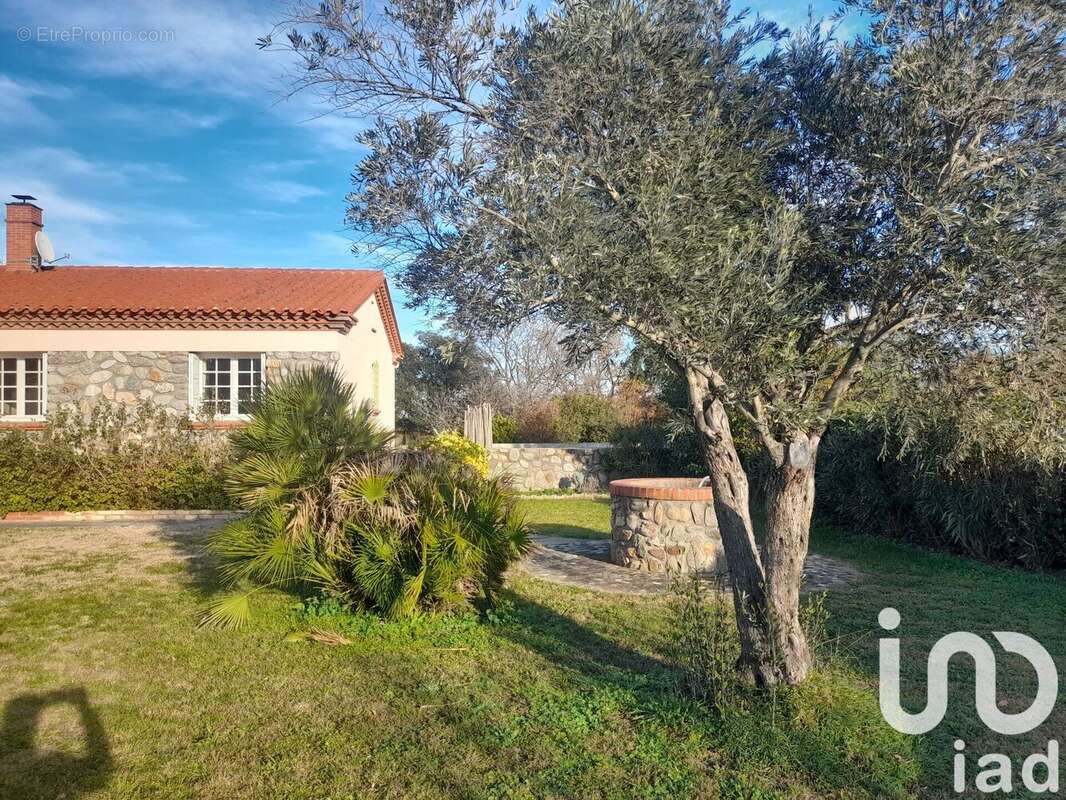 Photo 2 - Maison à SAINT-JEAN-PLA-DE-CORTS