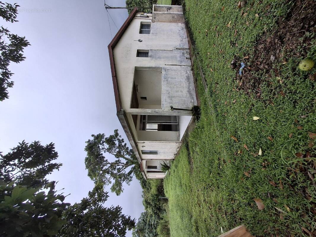 Maison à BASSE-POINTE