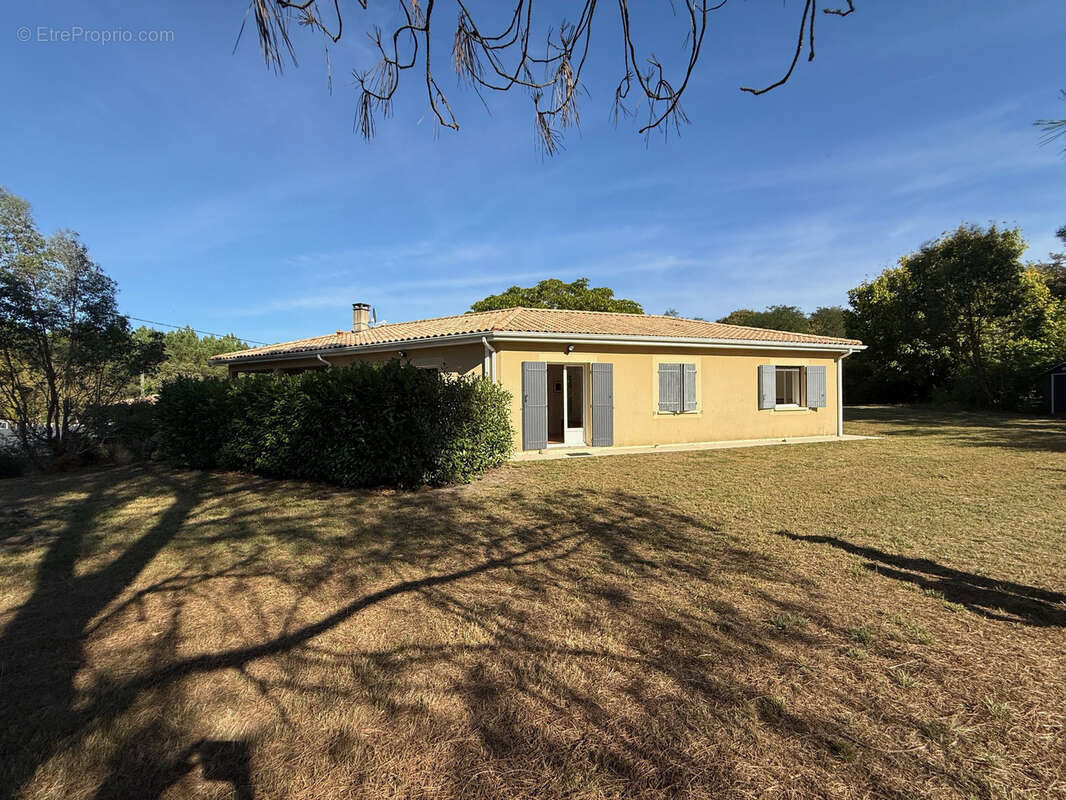 Maison à BELIN-BELIET