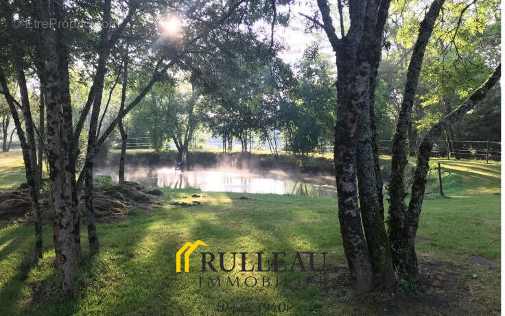 Autre à SAINT-CHRISTOLY-DE-BLAYE