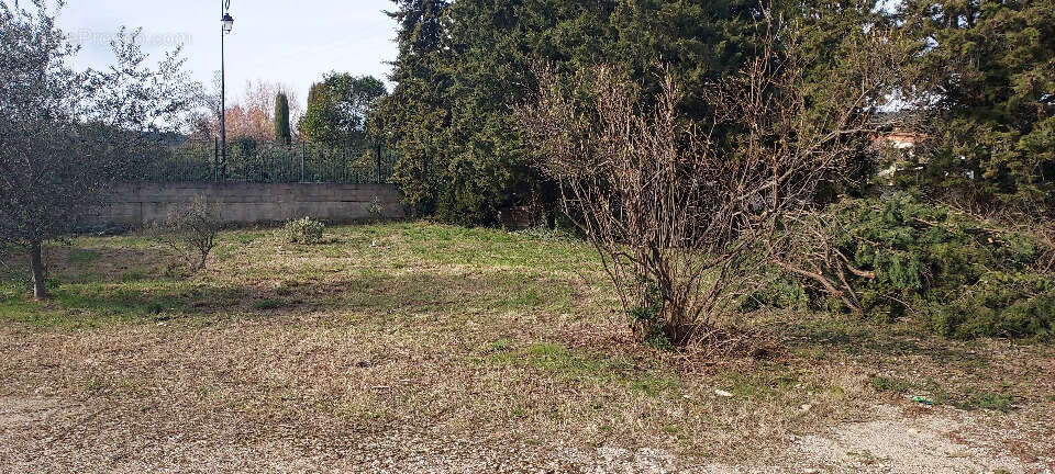 Terrain à VEDENE
