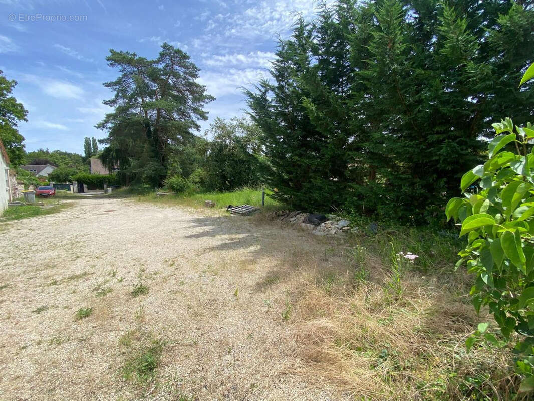 Terrain à MOIGNY-SUR-ECOLE