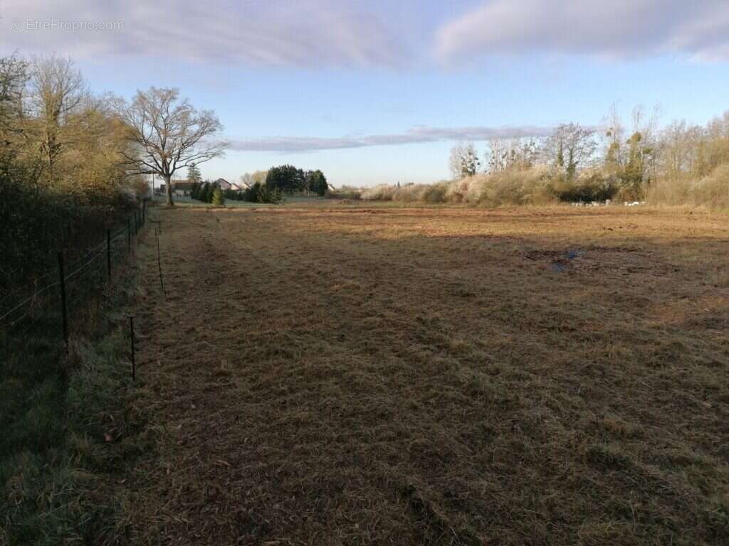 Terrain à SAINT-BENOIT-SUR-LOIRE