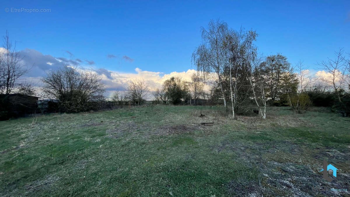 Terrain à VITRAY-EN-BEAUCE