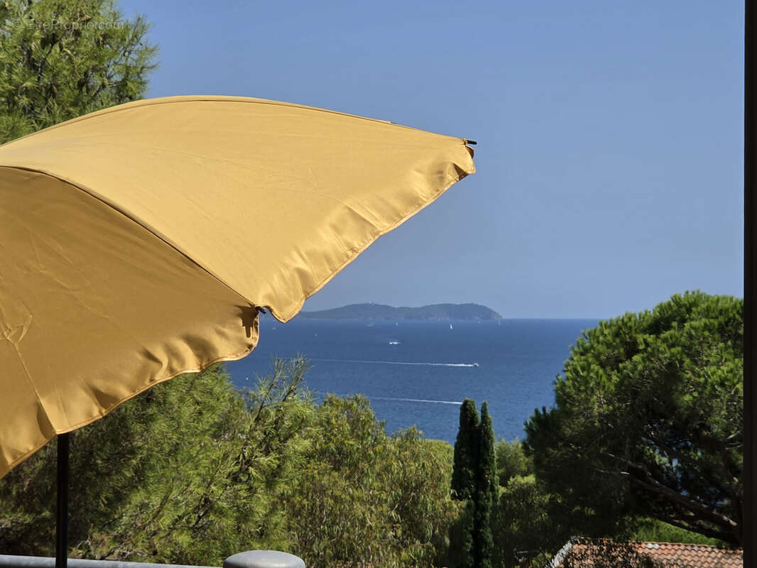 Toulon - lamalgue - photo 2