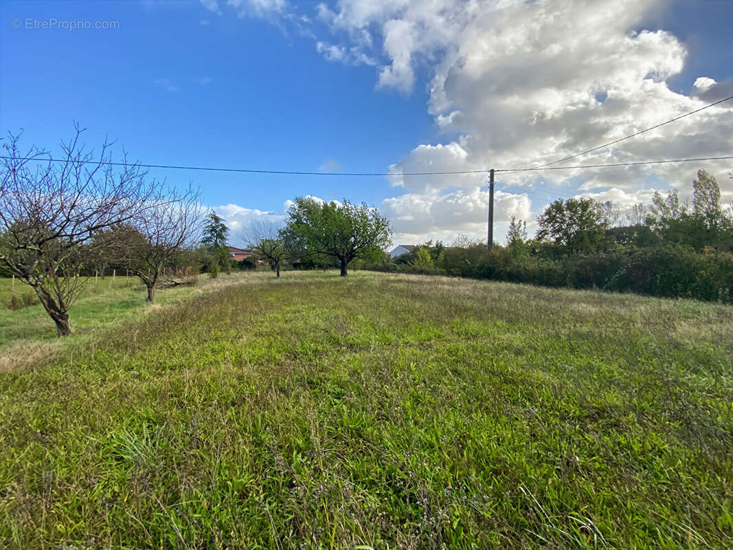 Terrain à MONTAUBAN