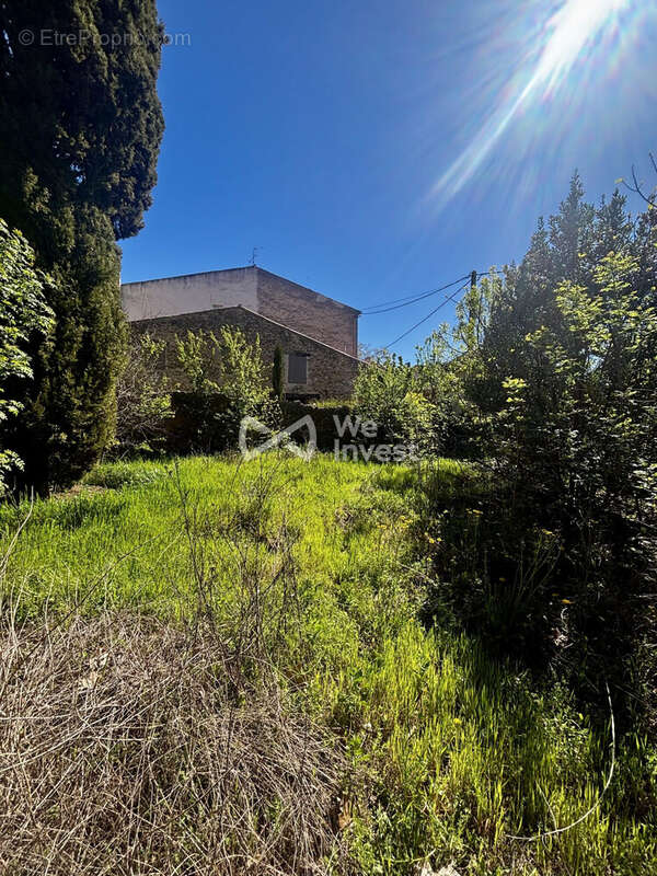 Terrain à MONTFORT-SUR-ARGENS