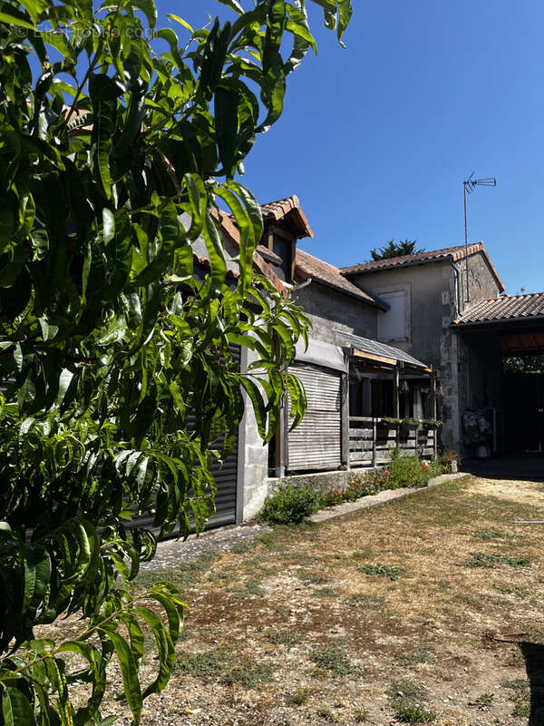 Maison à MIREBEAU