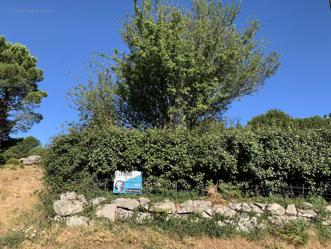 Terrain à bâtir à Cartalavone, commune de Porto-Vecchio - photo 6
