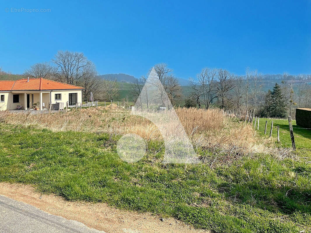 Terrain à VILLECHENEVE