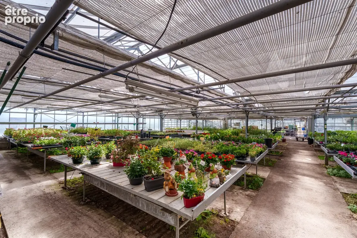Ensemble horticole en zone UX (hors fonds de commerce)   Un site professionnel à fort potentiel   Montchanin - photo 2