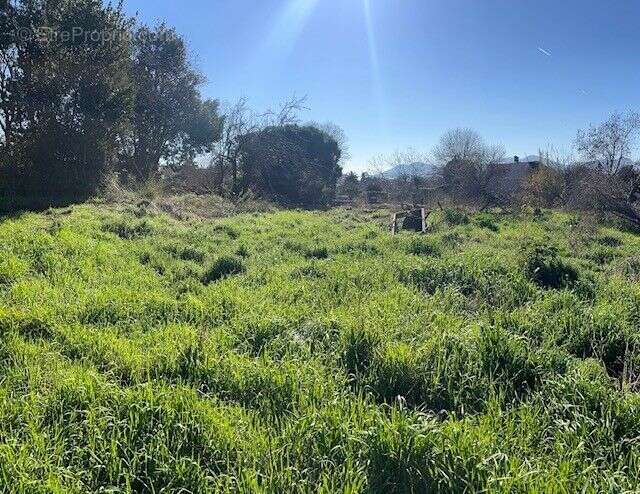 Terrain à CANNES