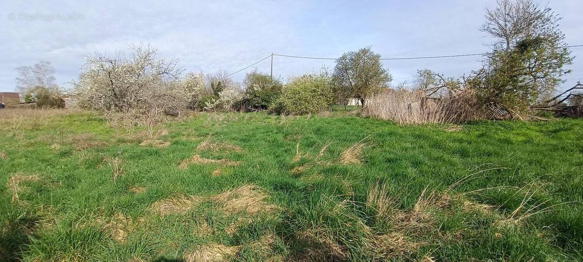 Photo 1 - Terrain à VILLEQUIERS