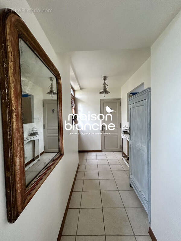 Maison à PELLOUAILLES-LES-VIGNES