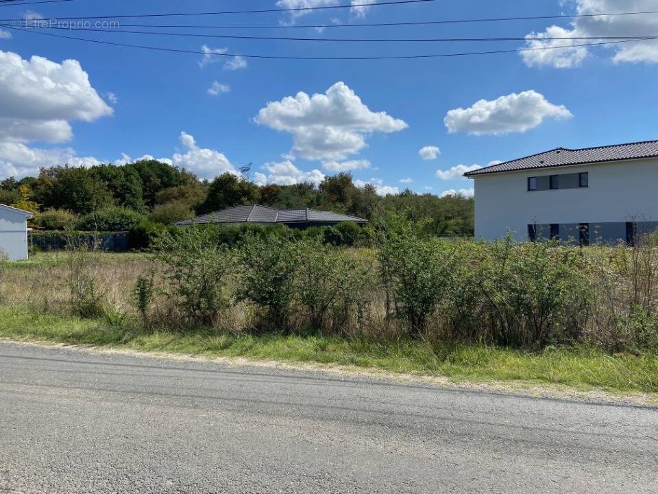 Terrain à VILLENAVE-D'ORNON