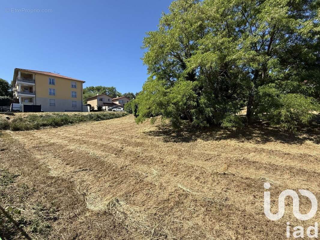 Photo 2 - Terrain à THURINS