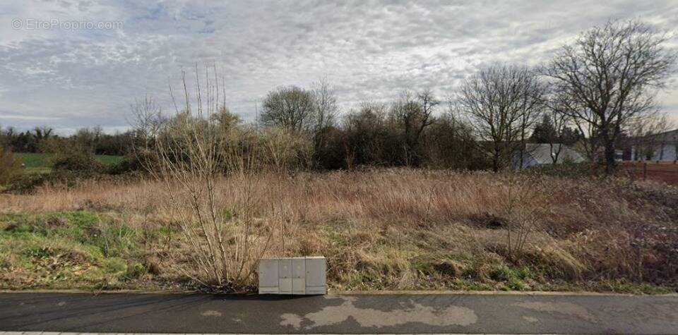 Terrain à DIDENHEIM