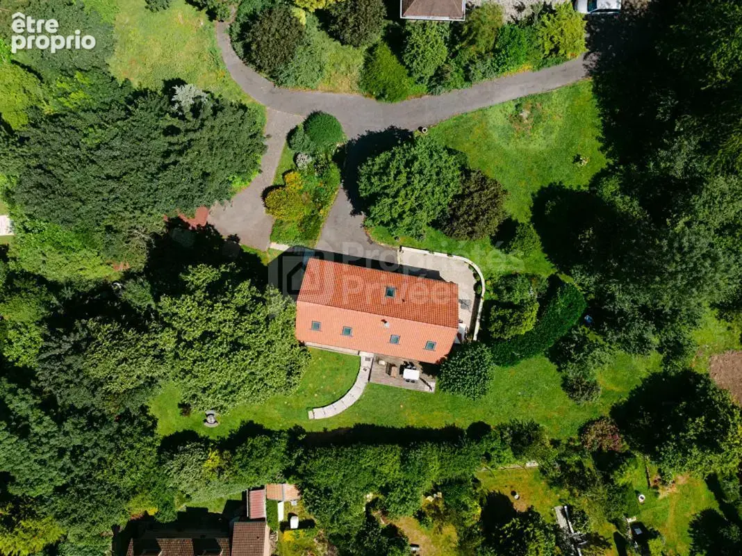 Bien rare à Labuissière - Maison avec vie de plain-pied, terrain boisé et environnement privilégié - photo 3