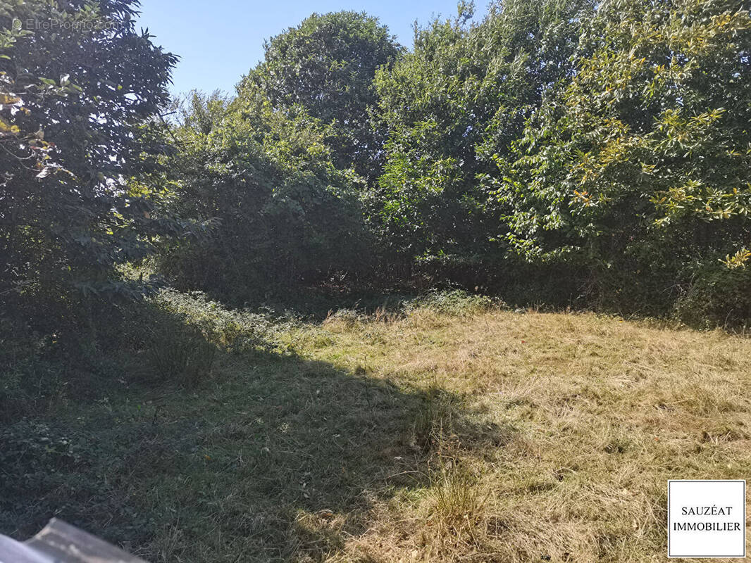 Terrain à MAGNAC-BOURG