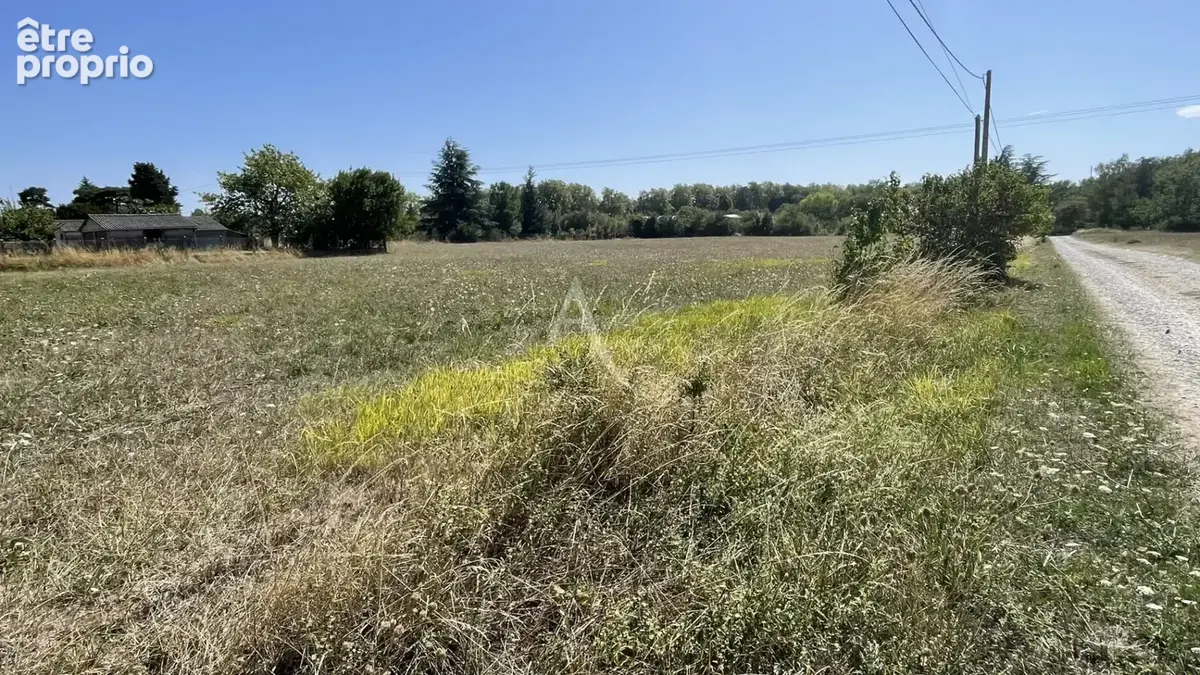Castelmaurou terrain de 8700 m2 - photo 4