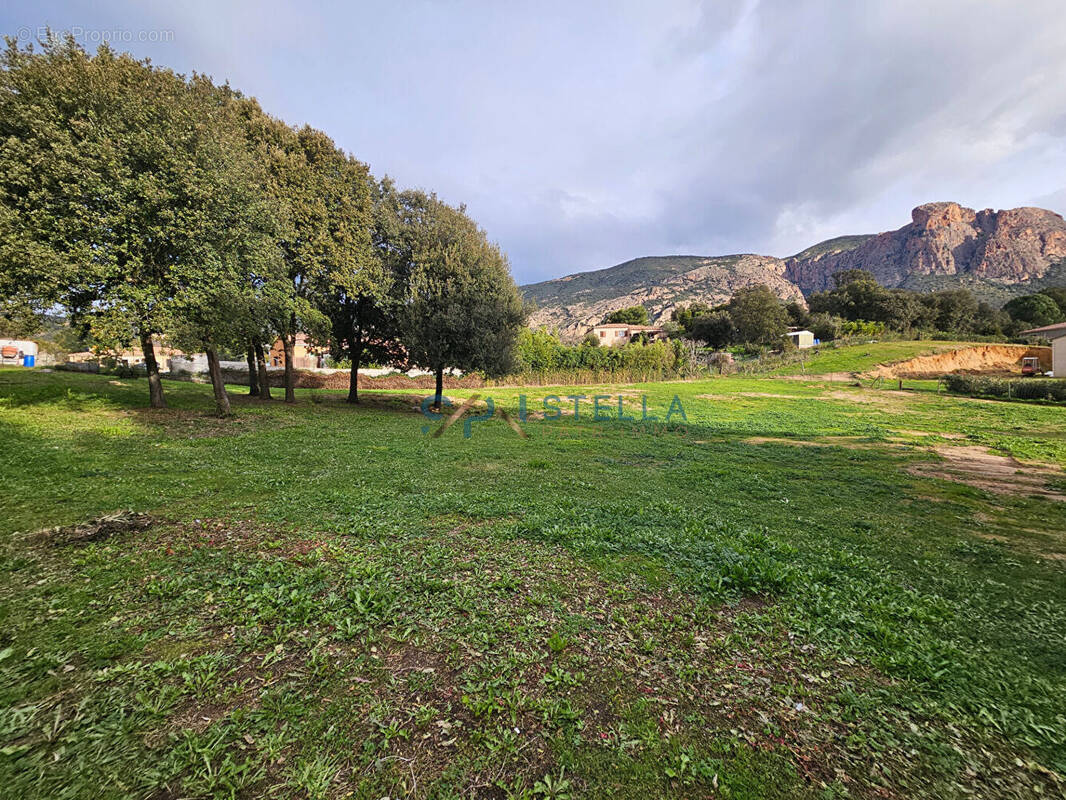 Terrain à APPIETTO