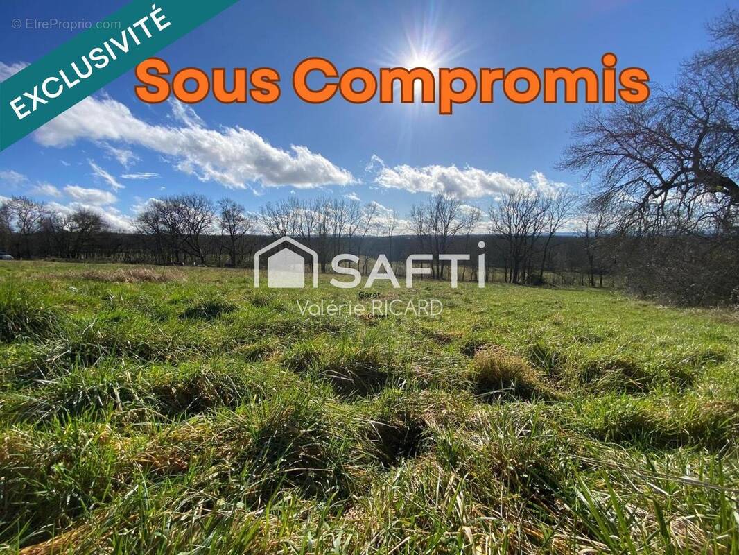 Photo 1 - Terrain à SAINT-ANTONIN-NOBLE-VAL