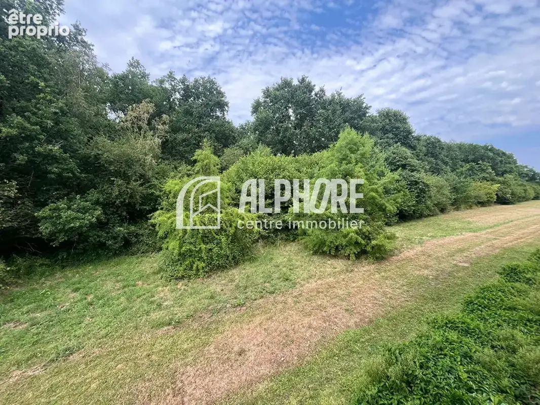 La Chapelle-sur-Erdre ? T3 64 m² avec grande terrasse et vue sur la nature - photo 8