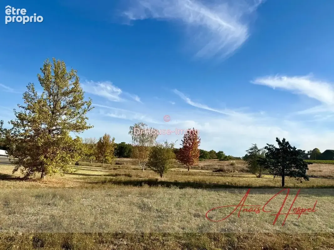 Maison 16 pièces 520 m² à vendre à Sauveterre-De-Guyenne (33540) - photo 27