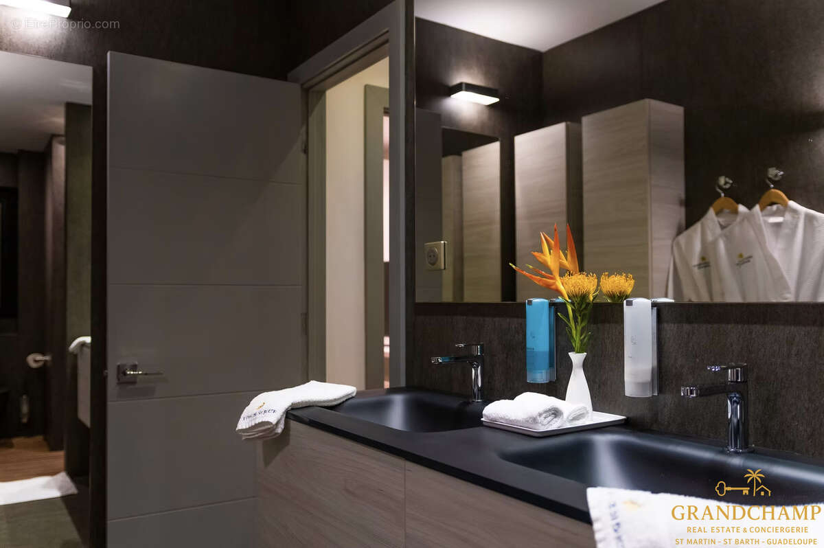 Maison à CAPESTERRE-BELLE-EAU