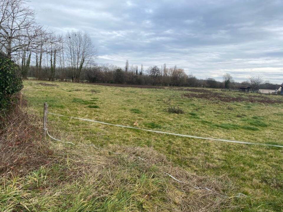 Terrain à NARCASTET