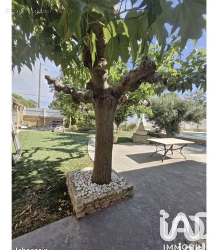 Photo 1 - Maison à MARSEILLAN