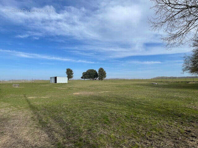 Photo 5 - Maison à LA FERTE-GAUCHER