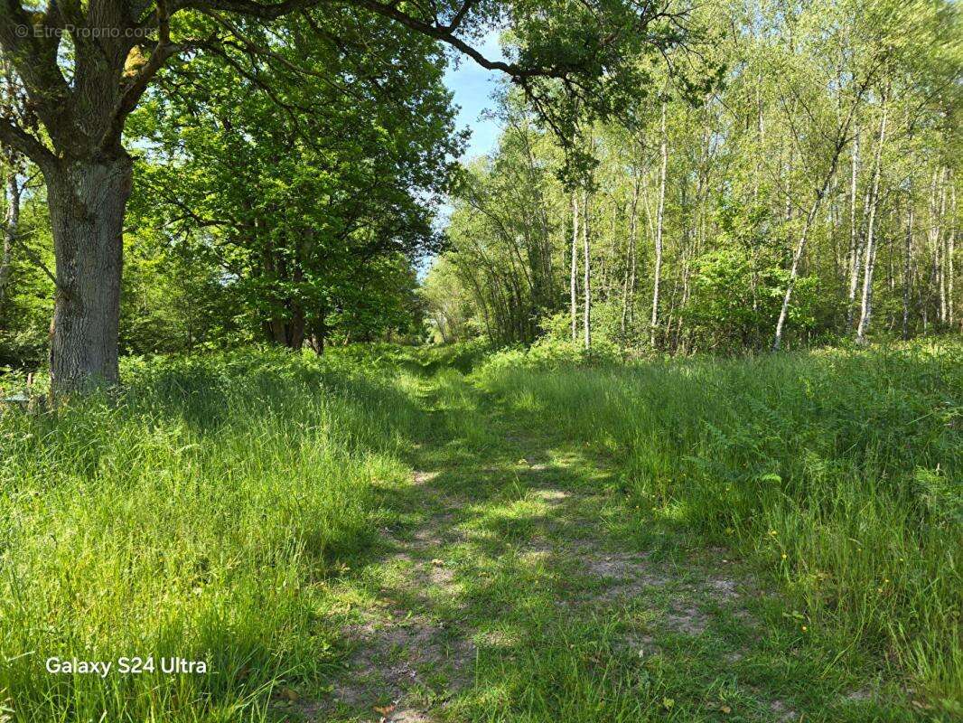 Terrain à MONTEREAU