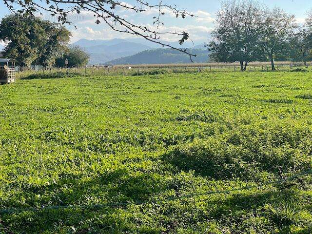 IMG_4839 - Maison à OLORON-SAINTE-MARIE